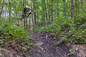 downhill 1