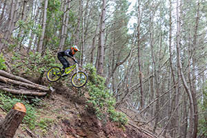 downhill 6